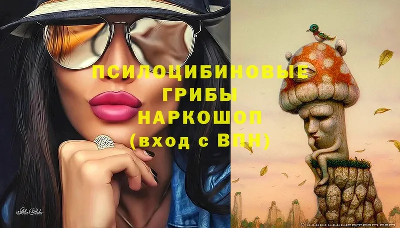 Галлюциногенные грибы Magic Shrooms  мега ТОР  Почеп 